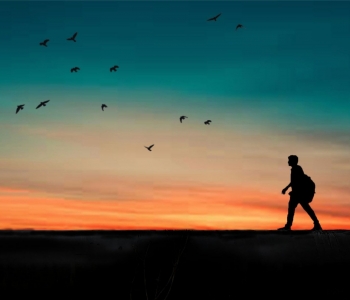 Mindful walking and reflective journaling – two fundamental activities of a self-led retreat